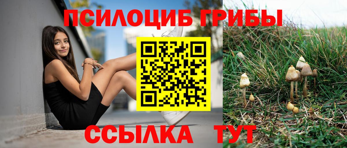 Сердобск  Псилоцибиновые грибы Magic Shrooms  Вход с VPN 